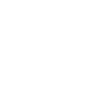 MCCAR Auto-Icon